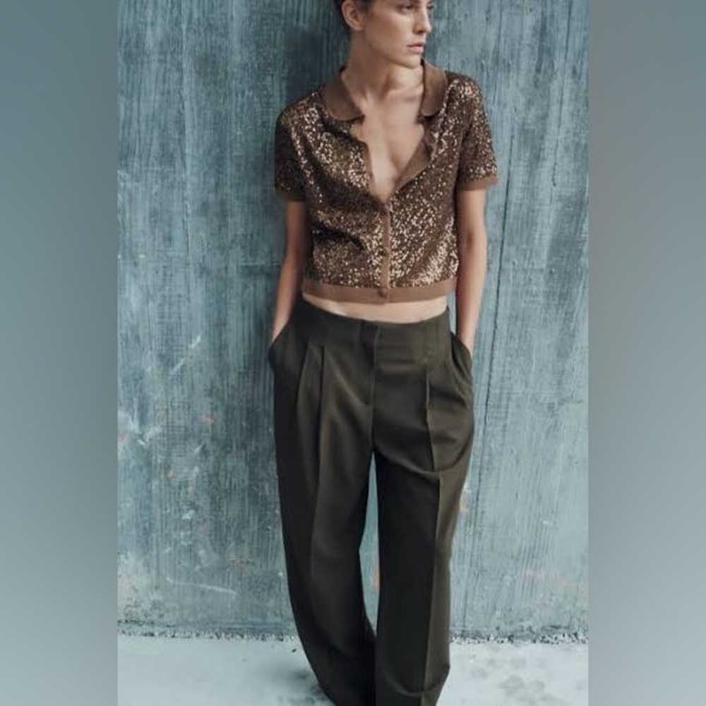 Zara Dark Brown Tailored Trousers with Pleated Front
